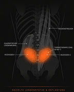 Cordless heated massage belt – graphic showing the position on the lower back