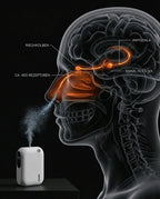 Aroma diffuser with app control – fine mist and soft light for essential oils – product image 12