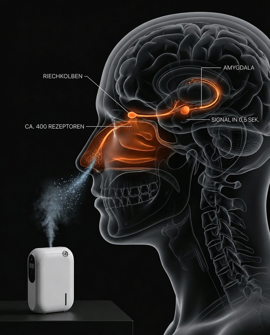 Aroma diffuser with app control – fine mist and soft light for essential oils – product image 12