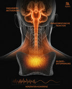 Contoured heated neck pillow – diagram on the neck