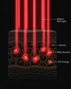 LED red light panel – diagram of the light rays