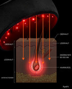 LED red light cap for the scalp – schematic graphic of the scalp