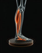 Rotating Balance Board – Stability and Coordination Training – product image 10
