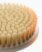 Soft-Bristle Body Brush – Gentle Exfoliation With a Long Handle for Your Back – product image 4