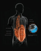 Water-filled training ball – core training, balance and functional workouts – product image 11