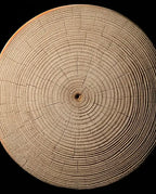 Appui-tête de sauna en bois – appui-nuque ergonomique pour sauna et spa – image du produit 4