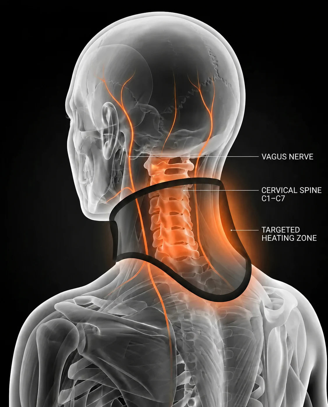 USB neck warmer – graphic showing the position on the neck